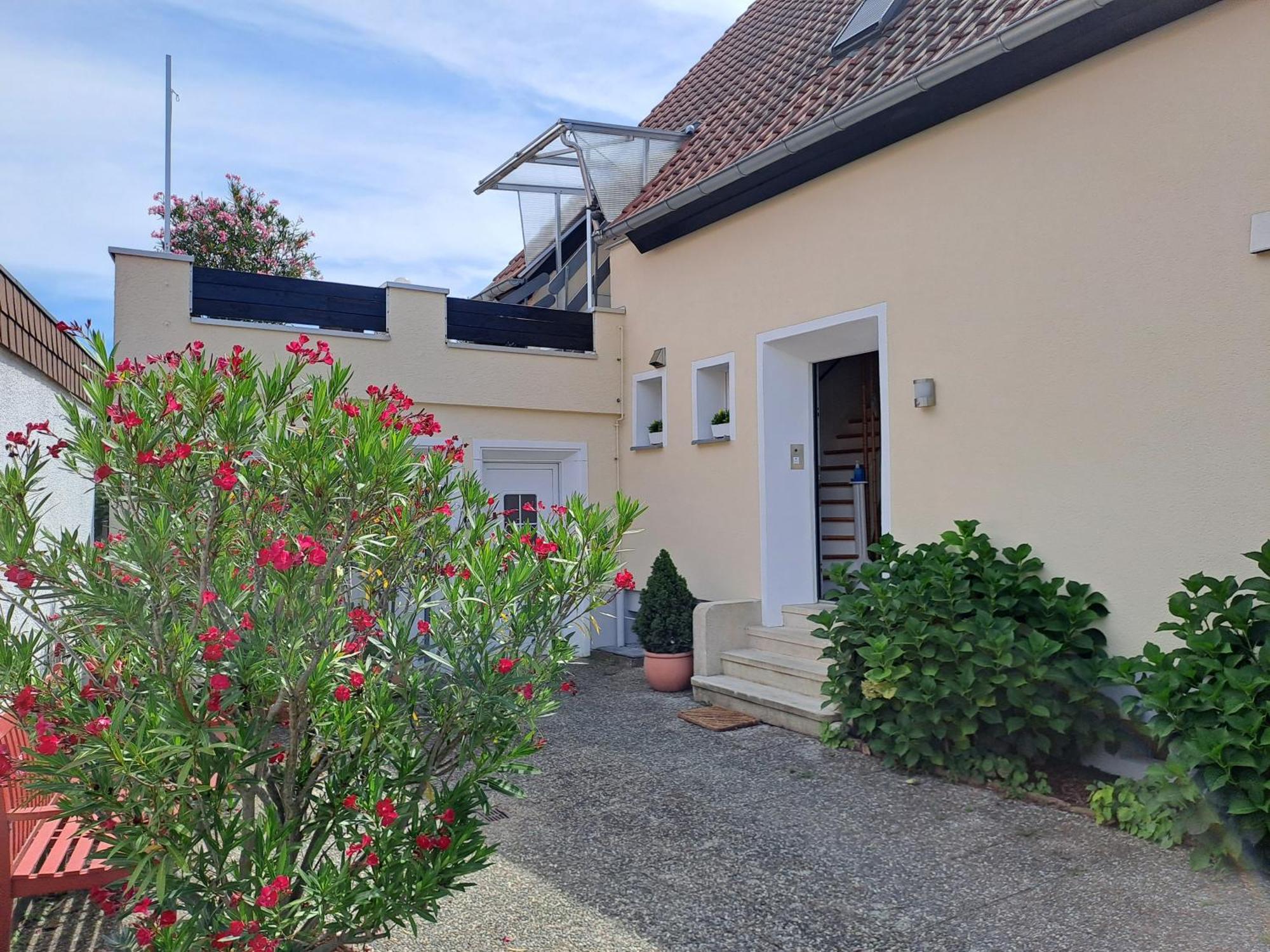 Hortensie Speyer Exteriör bild